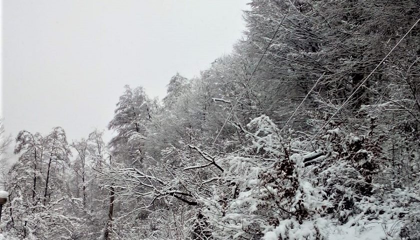 Distribuţie Oltenia acționează pentru remedierea avariilor provocate de condiţiile meteo deosebite