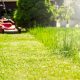 Tu știi cum să ai grijă de zona verde din curtea ta? Iată cele mai bune sfaturi de îngrijire a gazonului la început de an!