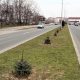 Bulevardul Dem Radulescu din Ramnicu Valcea isi va schimba infatisarea