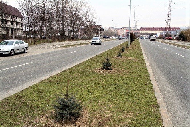 Bulevardul Dem Radulescu din Ramnicu Valcea isi va schimba infatisarea