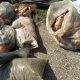 Doi barbati din Ionesti retinuti pentru braconaj piscicol