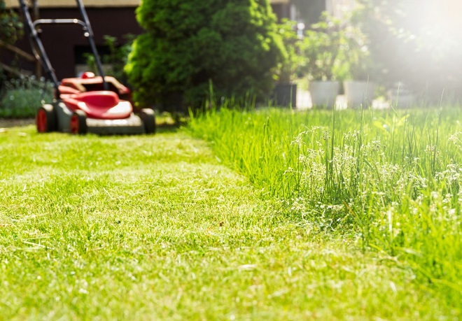 Tu știi cum să ai grijă de zona verde din curtea ta? Iată cele mai bune sfaturi de îngrijire a gazonului la început de an!